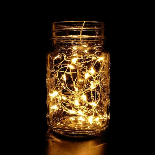 LED Copper Wire String Lights USB Plug-in Fairy Lights (1 meter)